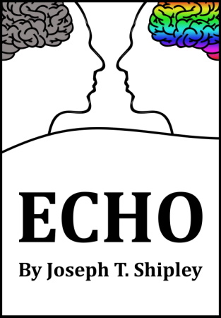 Echo book cover